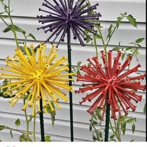 Meet your Posher, Susie